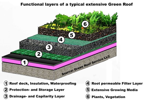 extensive-green-roof-layer-details
