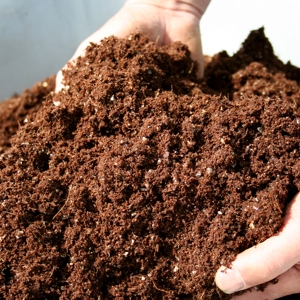 what-is-compost