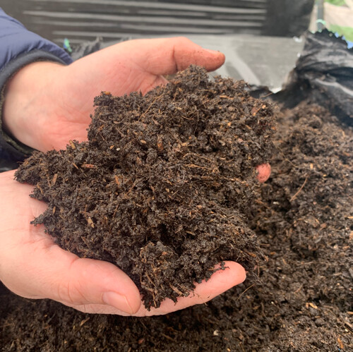 Peat Free Compost