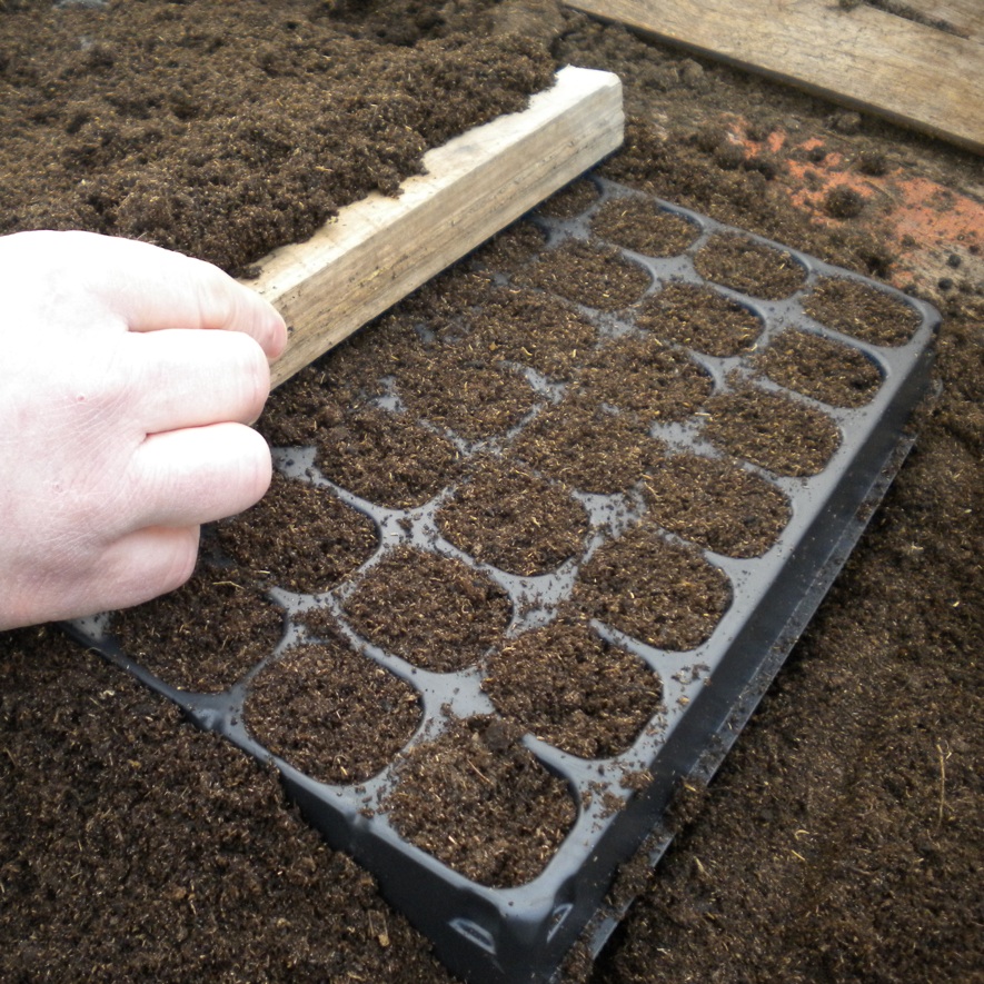 greenhouse-compost