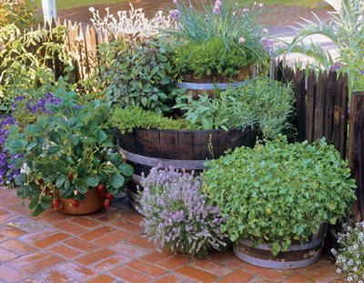 herb garden