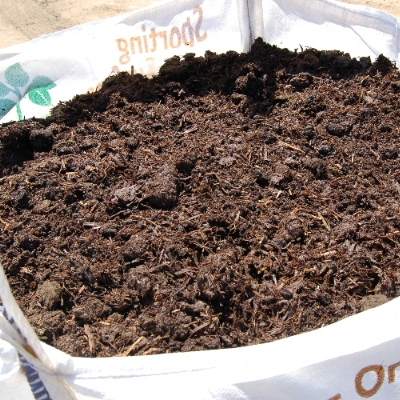 Man Holding Manure