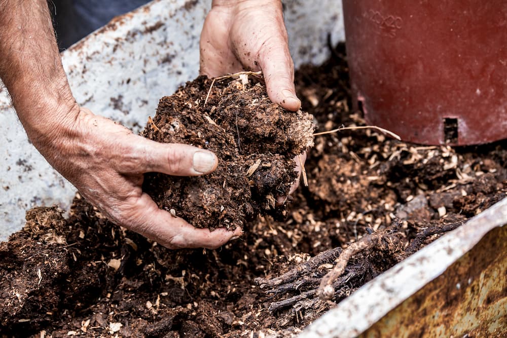 Man Holding Manure