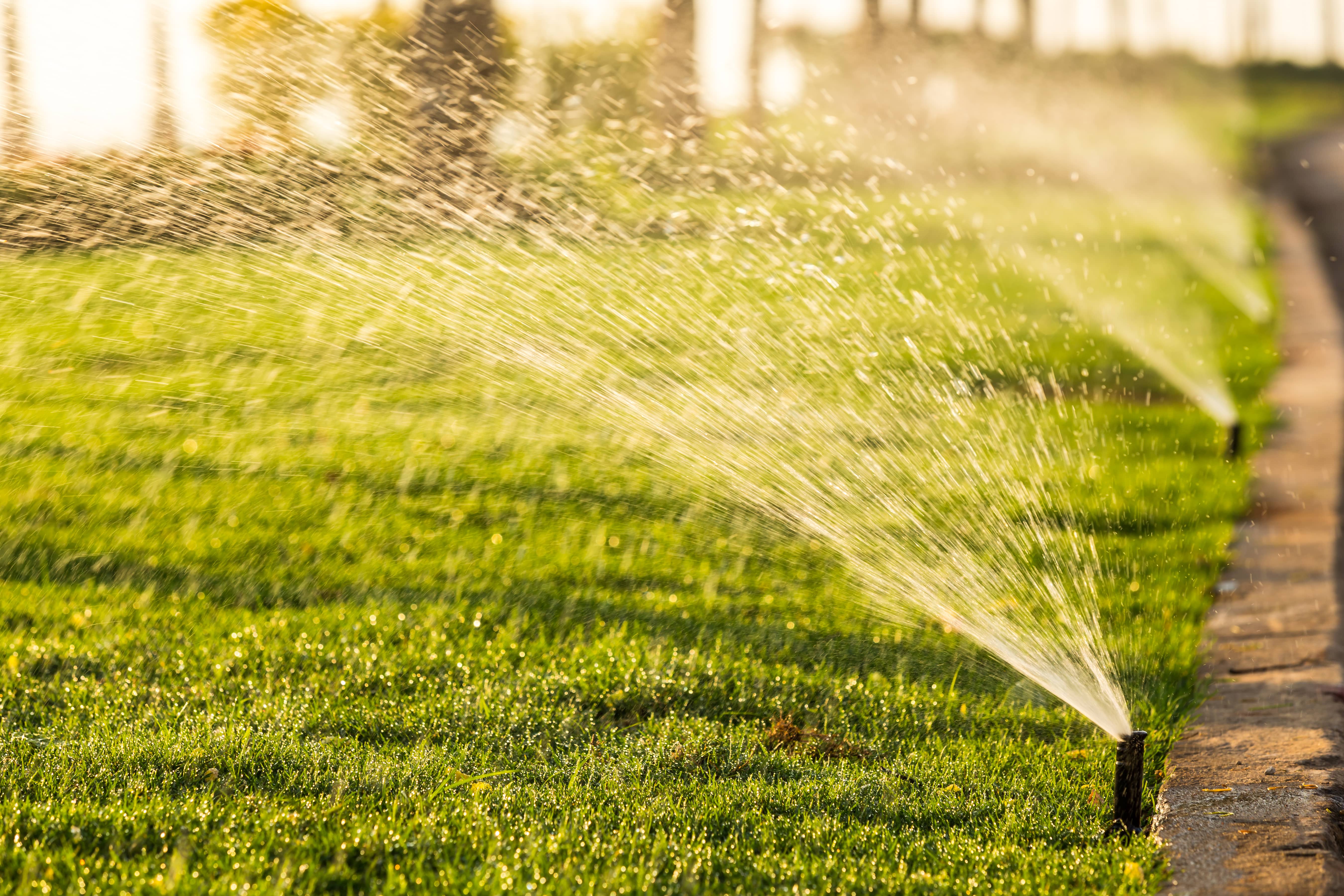 Watering