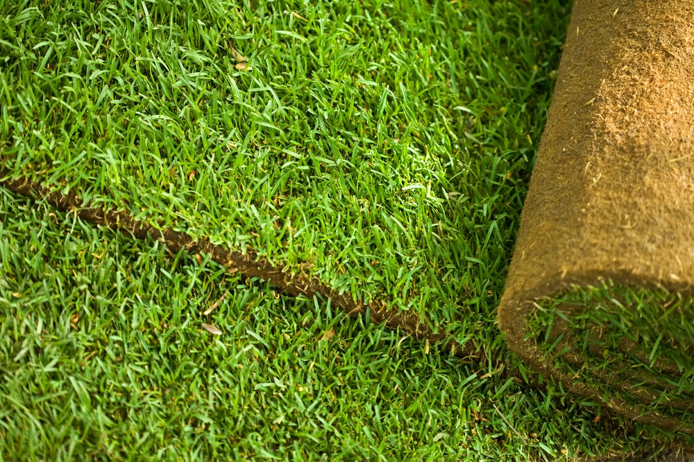 Laying Down Turf