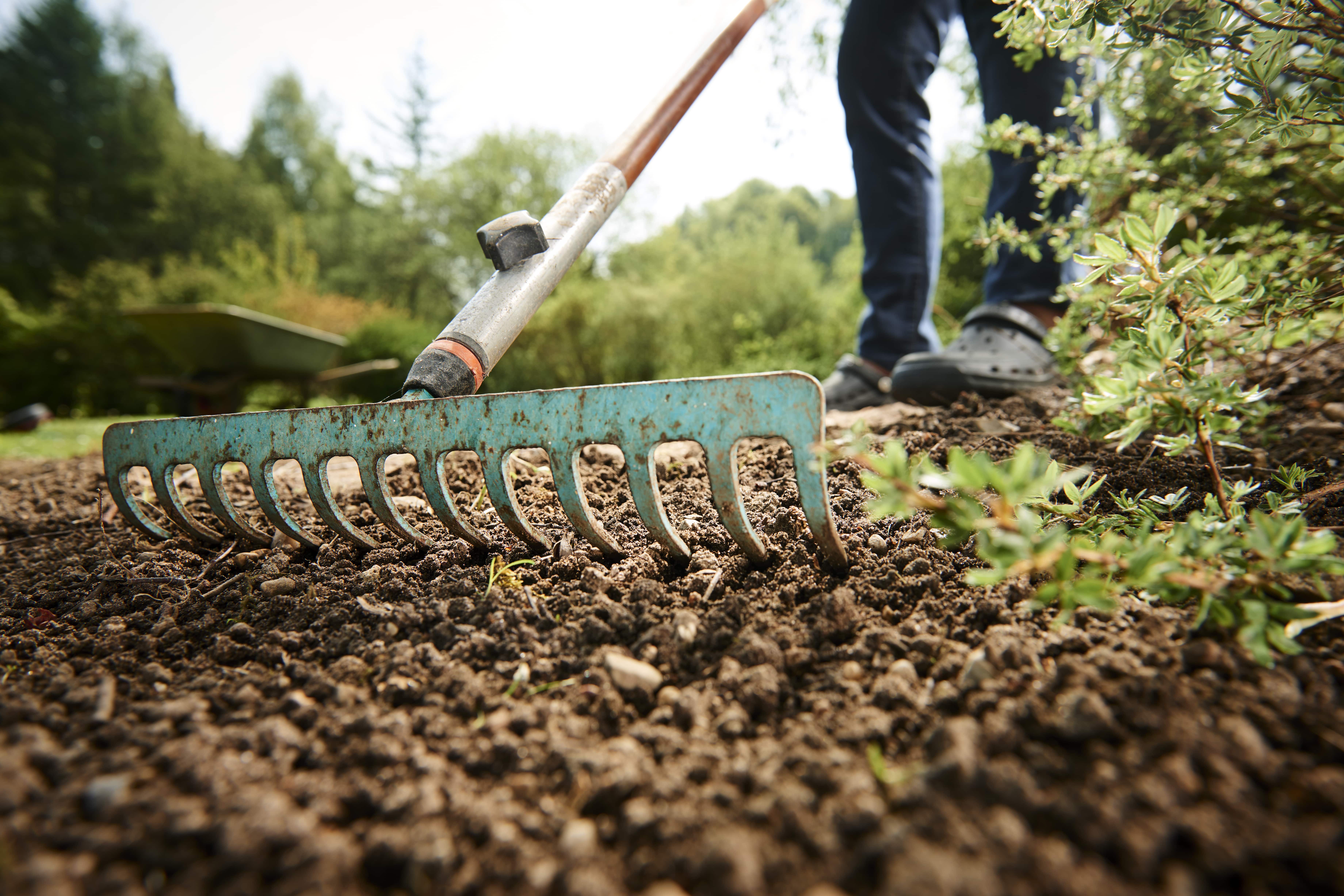 Raking and Leveling