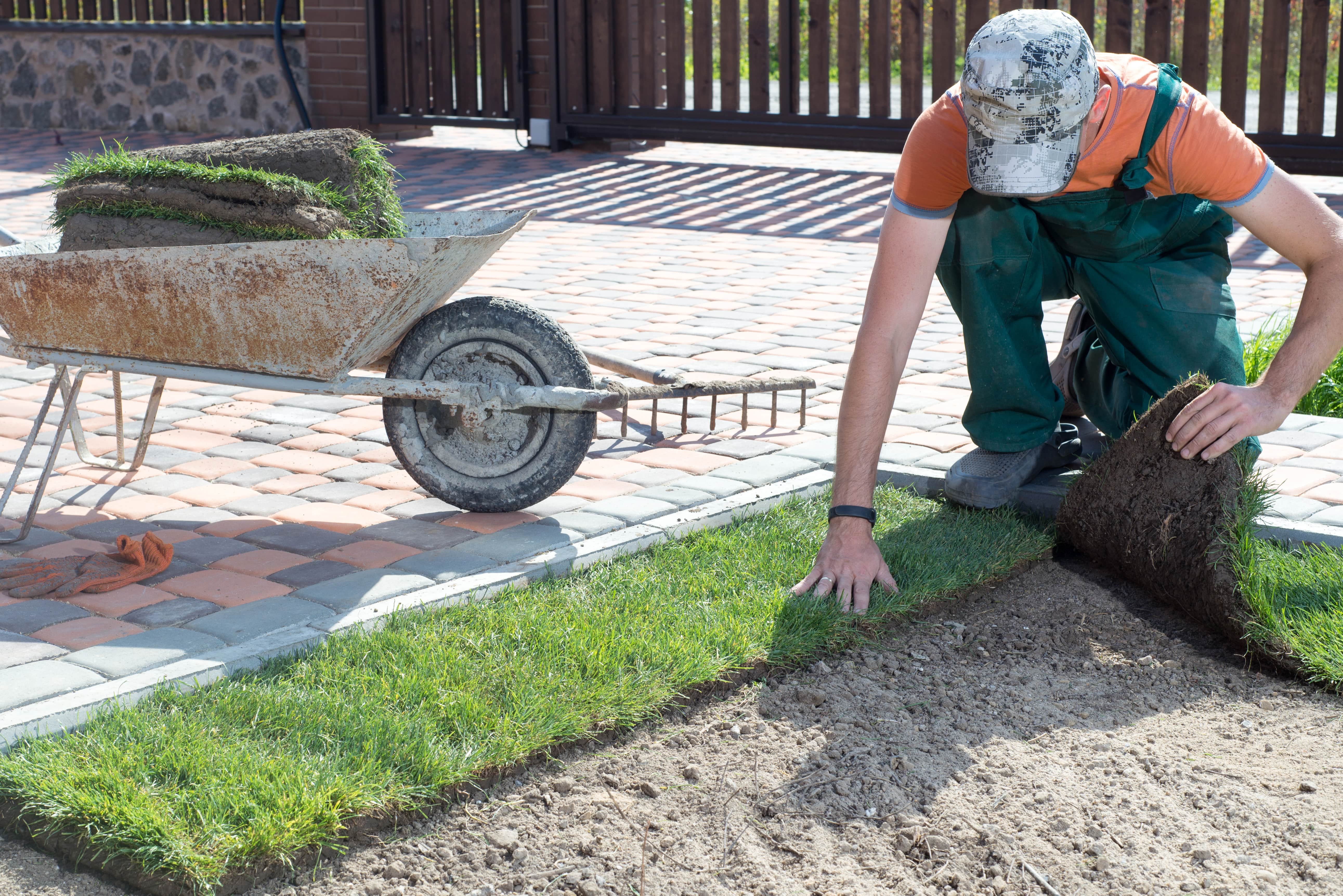 Laying the Turf