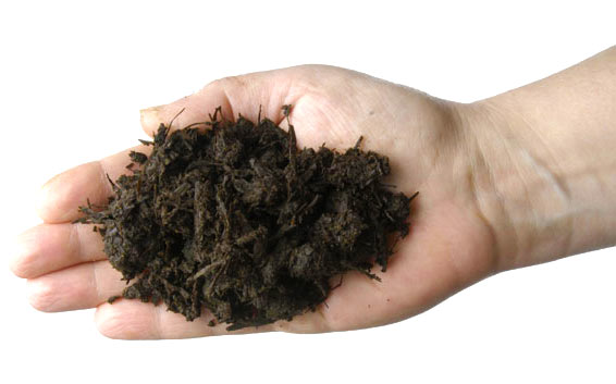 handful of well rotted compost