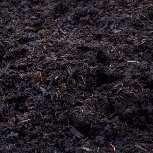 Mushroom Compost
