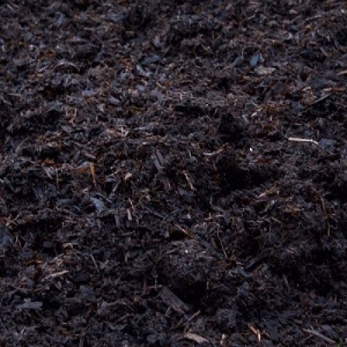 Mushroom Compost